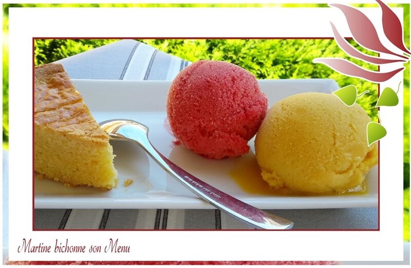 sorbets aux purées de fruits sorbets aux purées de fruits