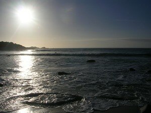 DSCN4186