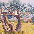 Vieux Oliviers en Provence/ format 50x100cm/ prix 580€/Atelier A.Rivière