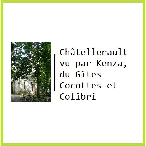 Châtellerault vu par Kenza, du Gîtes Cocottes et Colibri