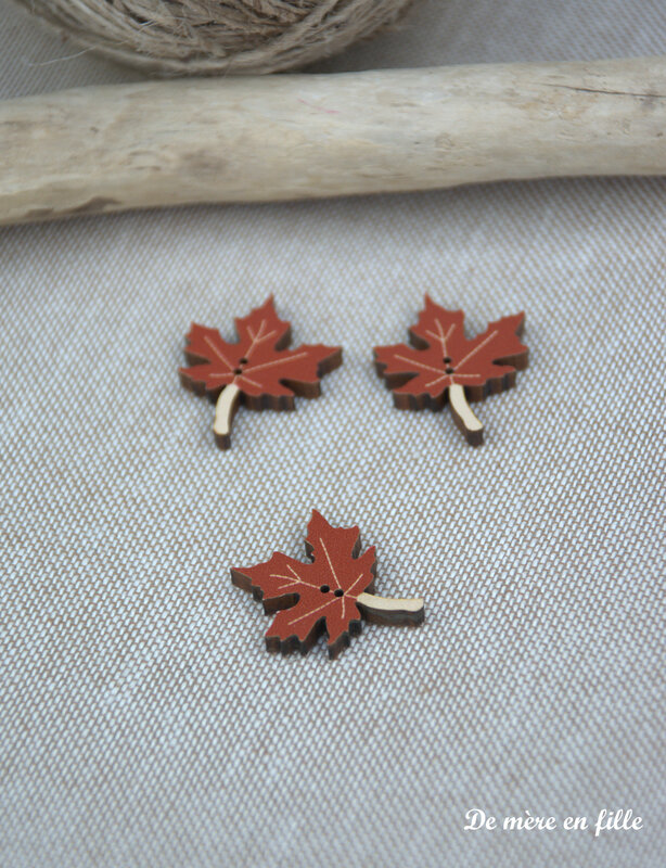 feuille érable marron