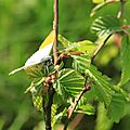 IMG_4426