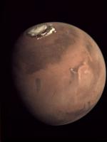 Mars Elysium Planitia cc ESA