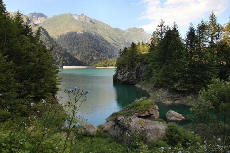 Lac_13 04 08_8594