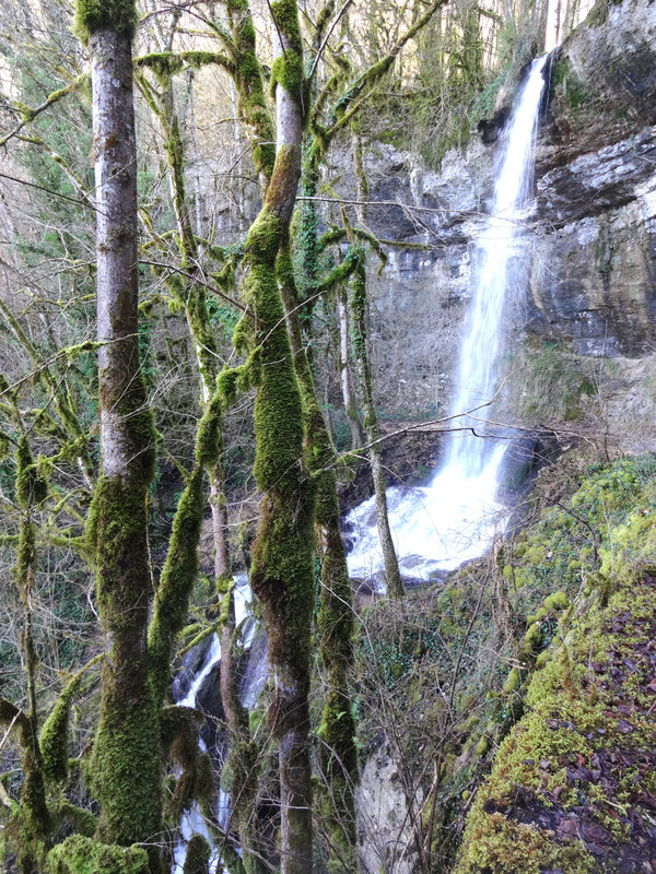 N14 Pisse-vache en Bugey (1)
