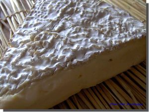 Brie_de_Meaux
