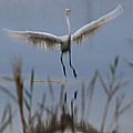 IMG_0736 - Copie