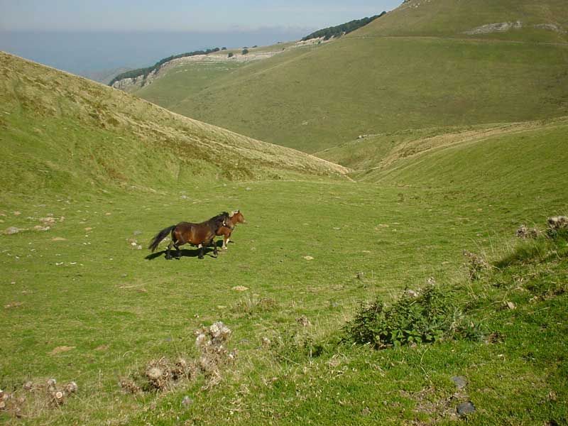 Jolie Promenade Dans Le Pays Basque Délia Berger Allemand