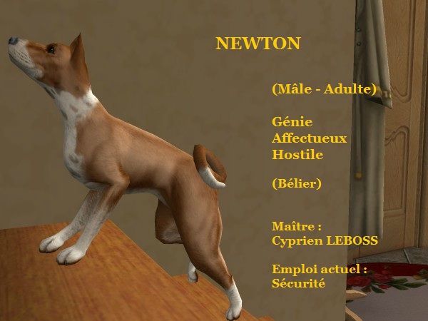 NEWTON