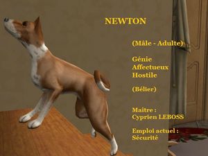 NEWTON