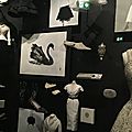 IMG_3511