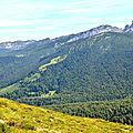 L'immense massif forestier d'Issaux depuis le Guilhers...