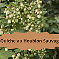 19 HOUBLONQuiche au Houblon Sauvage