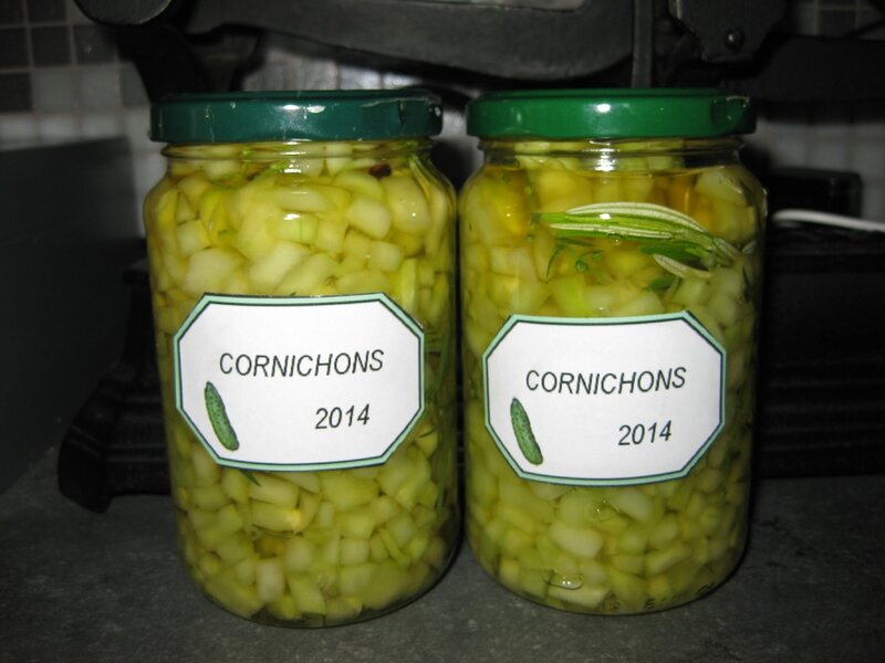 QUE FAIRE DES GROS CORNICHONS ? TOUCHE A TOUT
