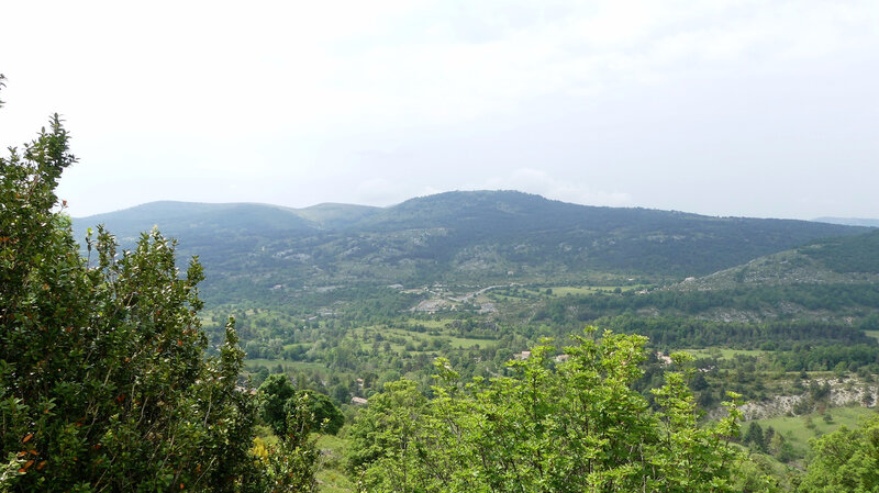 P1020733 (2)