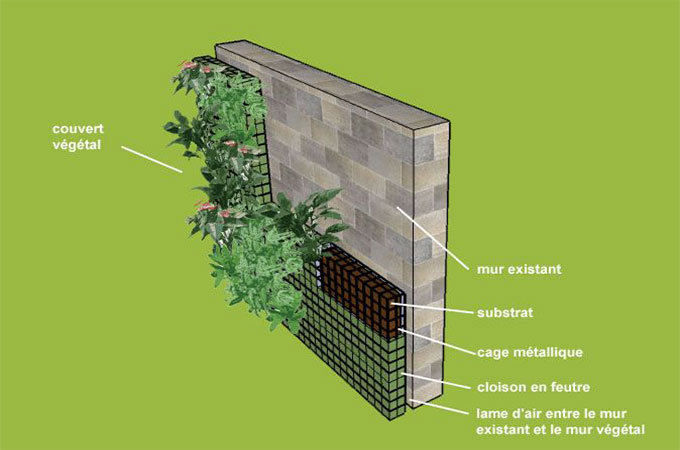 LE MUR VÉGÉTAL ANTIBRUIT MonPaysagiste.pro