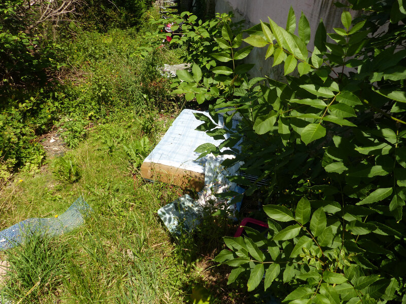 P1410769