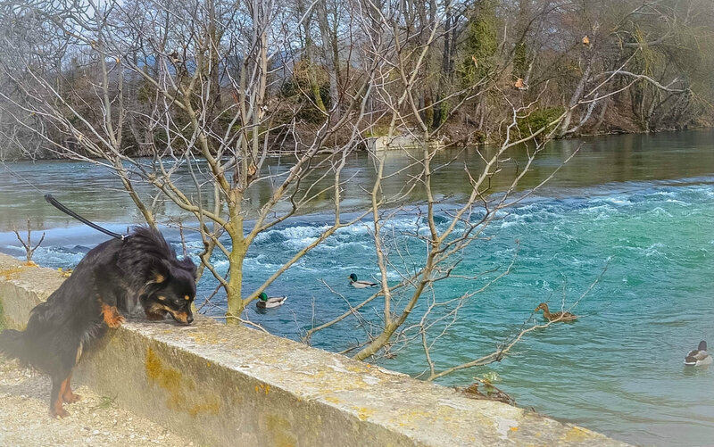 115218878_o