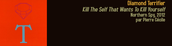 diamond_terrifier_kill_the_self_that_wants_to_kill_yourself