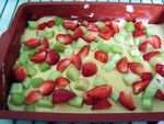 fraises_rhubarbe__28_
