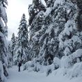 Neige sur l'Audibergue