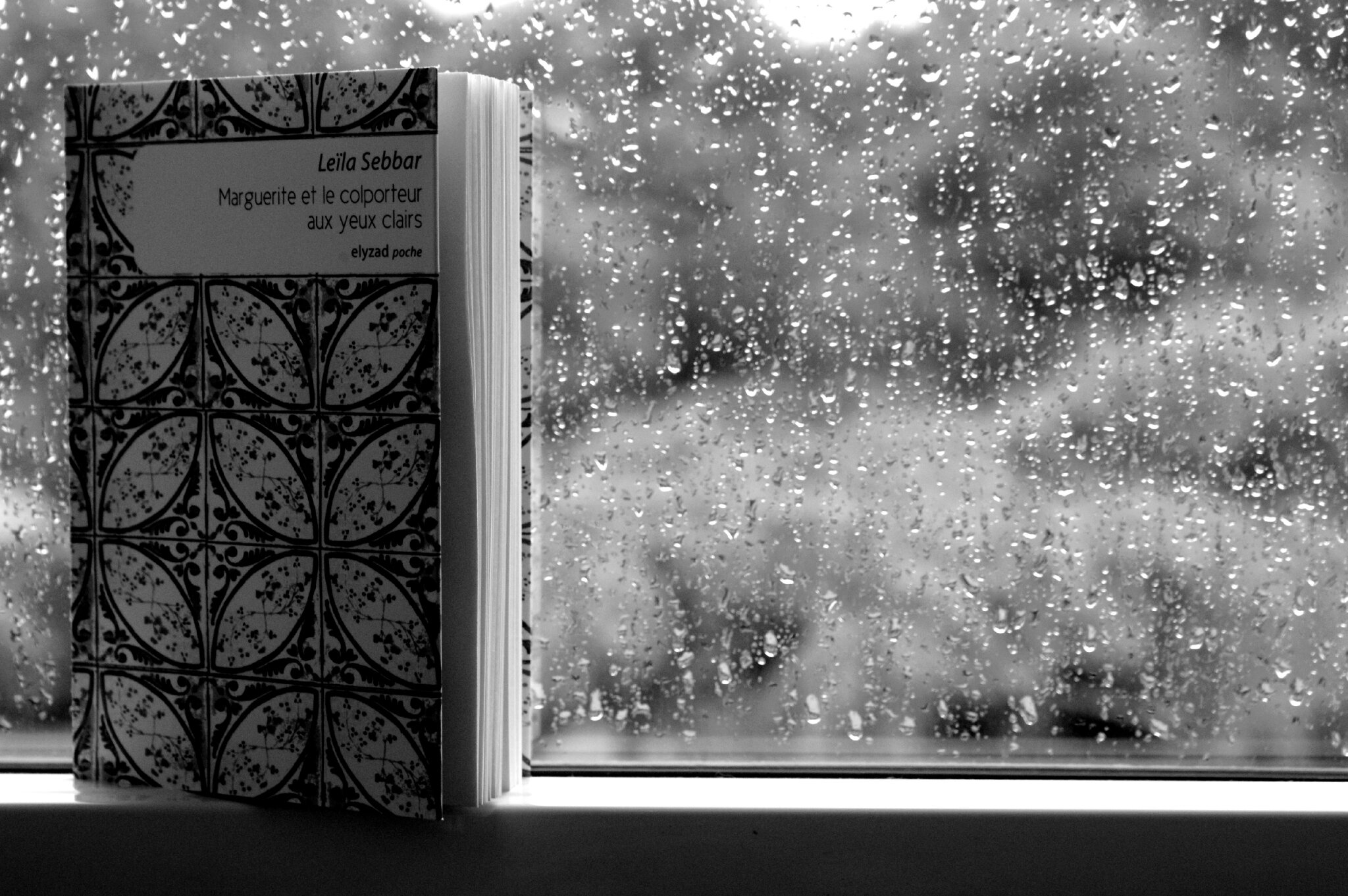 A Travers De Ma Fenetre Livre 52 Semaines en photos # 6 Par la fenêtre - blaubluebleu