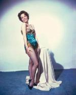 mm_dress-bus_stop-leslie_caron-the_man_who_understood_women-1