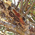 P1210109