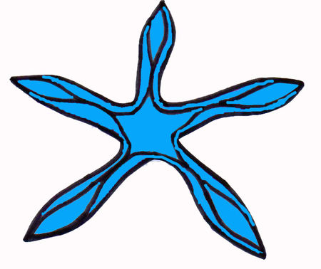 tutoeildeweis3