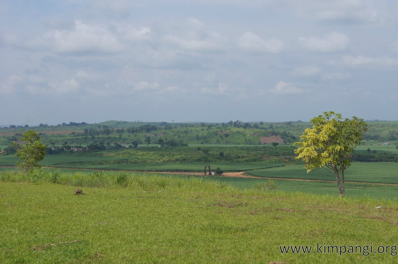 Balade plantations (12)