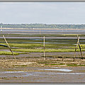 Arcachon (3)