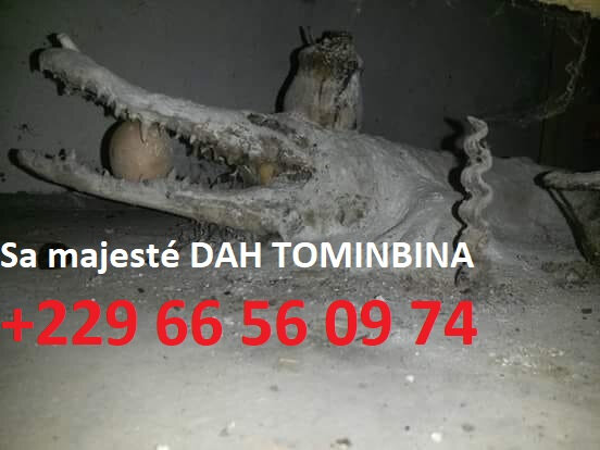 73124640_1594969453977720_6266056993635565568_n