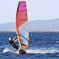 IMG_4264