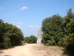 Lussan_Menhir_de_la_Pierre_Plant_e_14