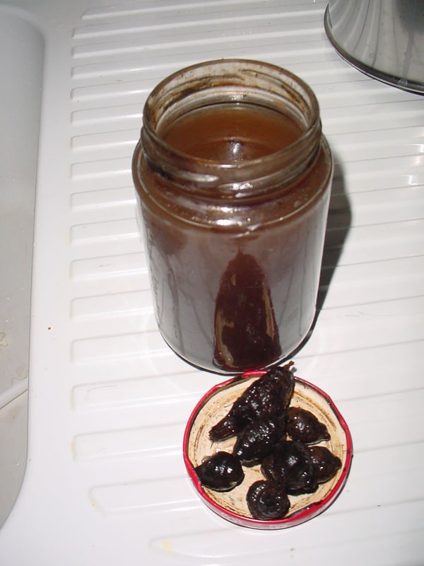 rencontres avec femmes senegalaises