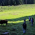 _IGP7441