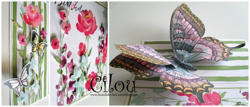 CARTE N°2 AVRIL 2015 photo 2 BLOG