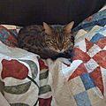 Qui est the fan de quilts??