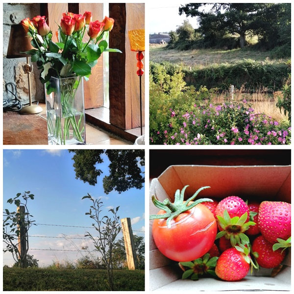PhotoCollage_1693506217681