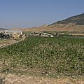 P1020115