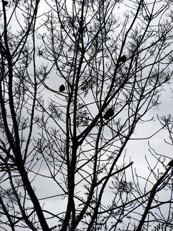 IMG_1000