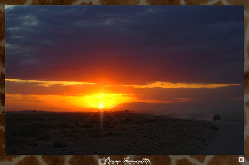 Safari_spirit_E
