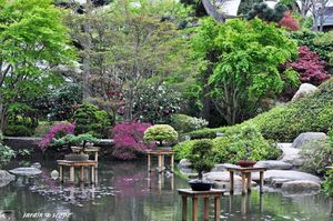 Jardin-Albert-Kahn-106