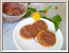 pâte à tartiner noisettes chocolat pâte à tartiner noisettes chocolat