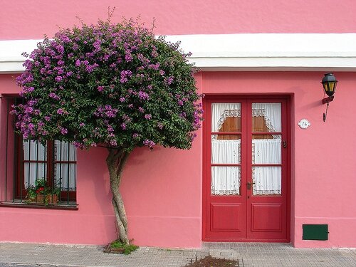 couleur rose a (27)