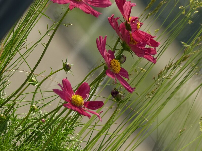 P1650621