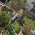 _DSC0064