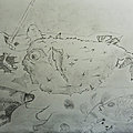 DiodonUlys4
