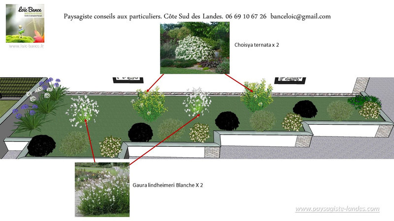 21-Concepteur-de-jardins-Mimbaste-40350-Paysagiste-Landes