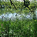 P1160488
